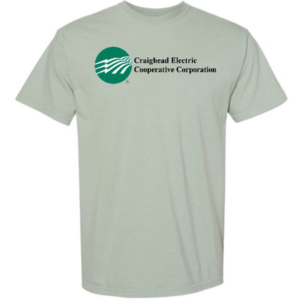 T-Shirts (3 Designs)